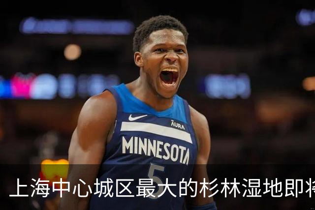 上海中心城区最大的杉林湿地即将进入最佳观赏期，记者实探